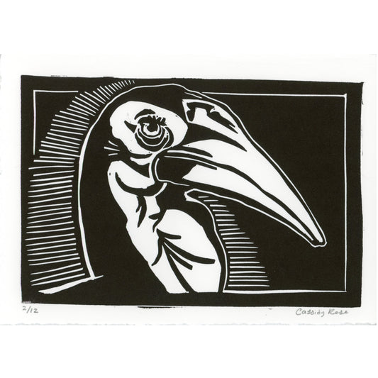 PX028 — Cassidy Rose