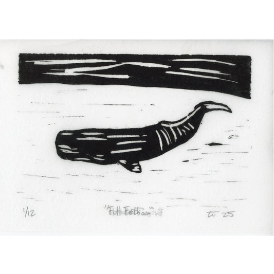 PX163 — Brian Tibbetts