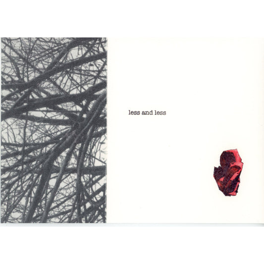 PX198 — Melissa Dawn