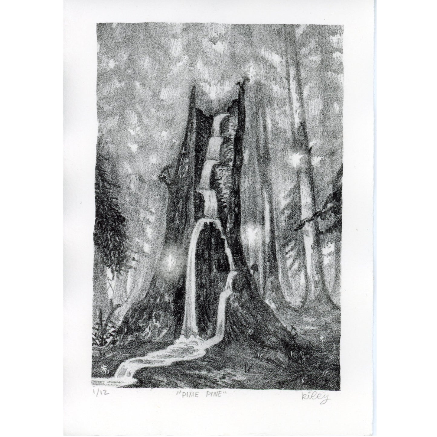 PX002 — Kiley Kuntz