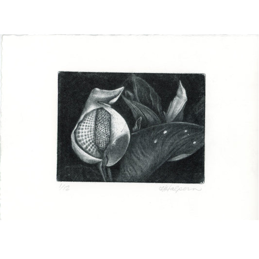 PX003 — Heather Halpern