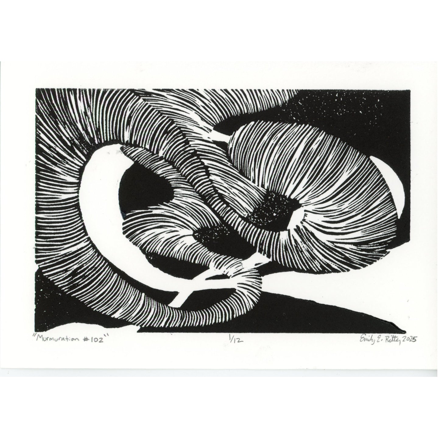 PX004 — Emily E. Ritter