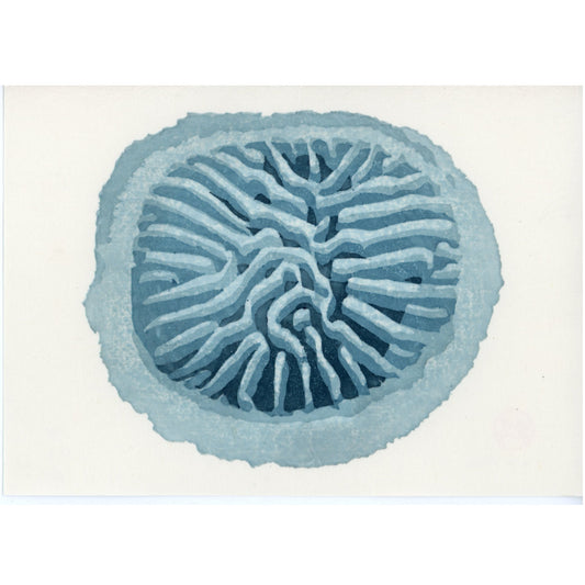 PX005 — E.O. Dean