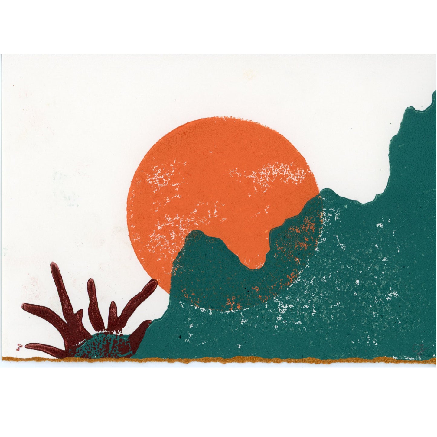 PX010 — Carly Zimmerman