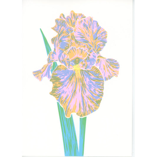 PX017 — Cassandra Thompson