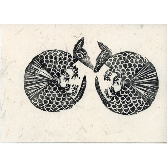 PX018 — Olivia (Zeytouna) Boynton