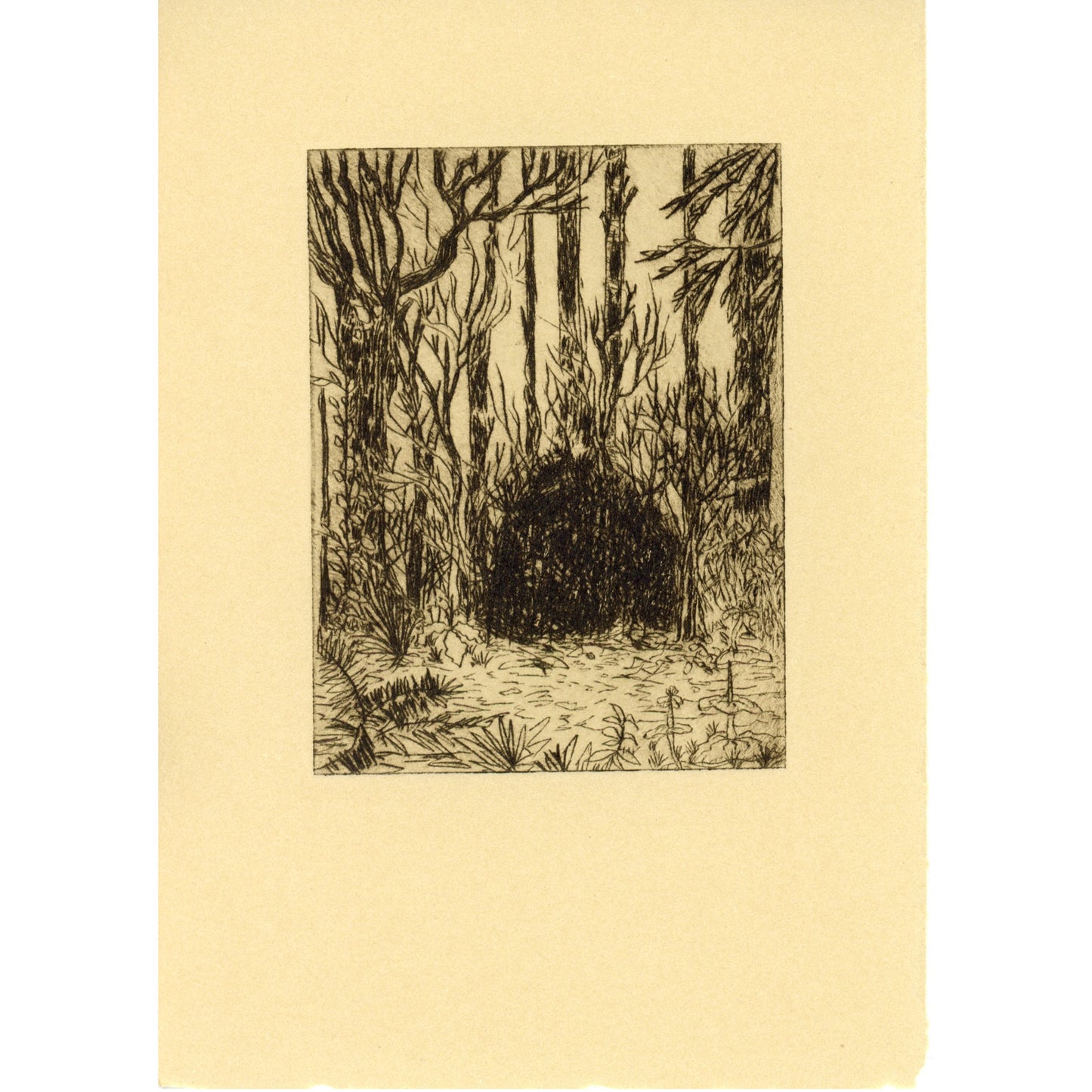 PX024 — Karl LeClair