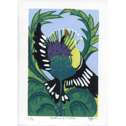 PX026 — Sandi Bonn