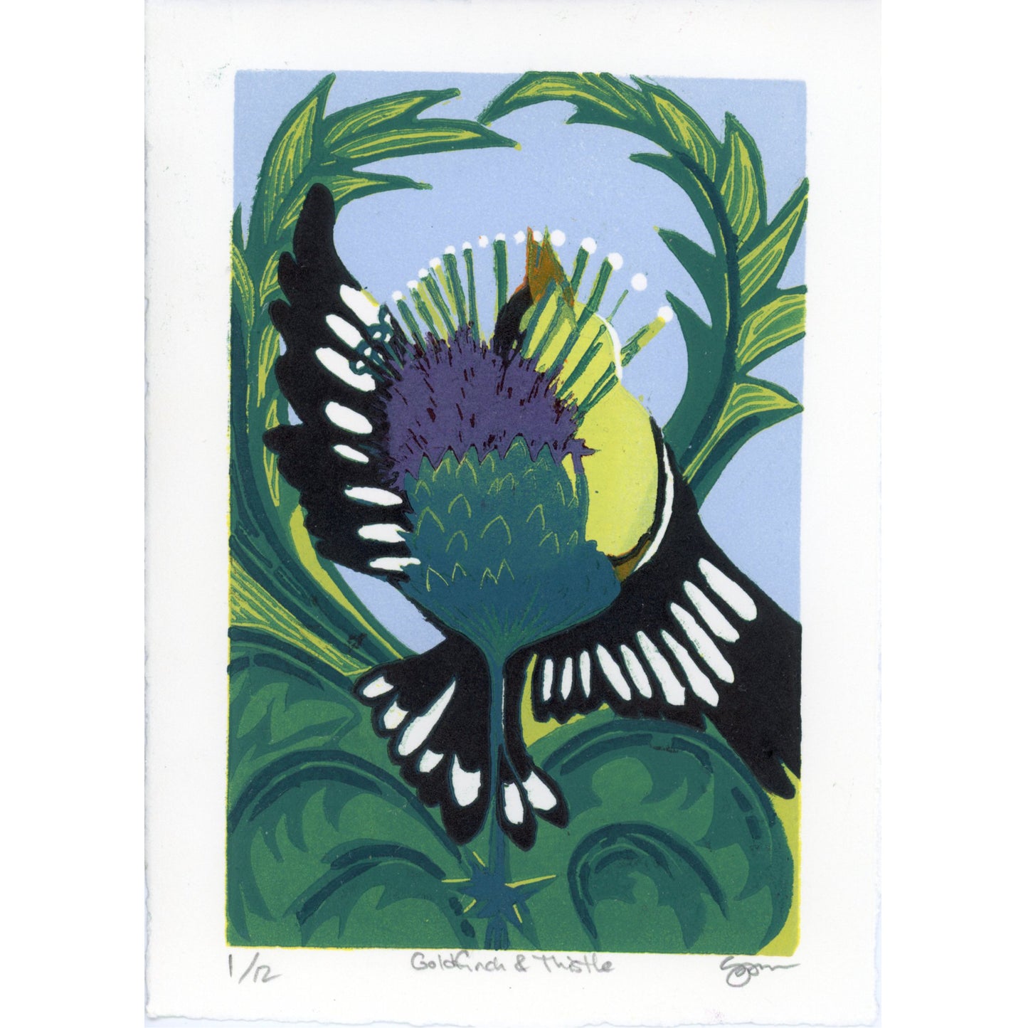 PX026 — Sandi Bonn