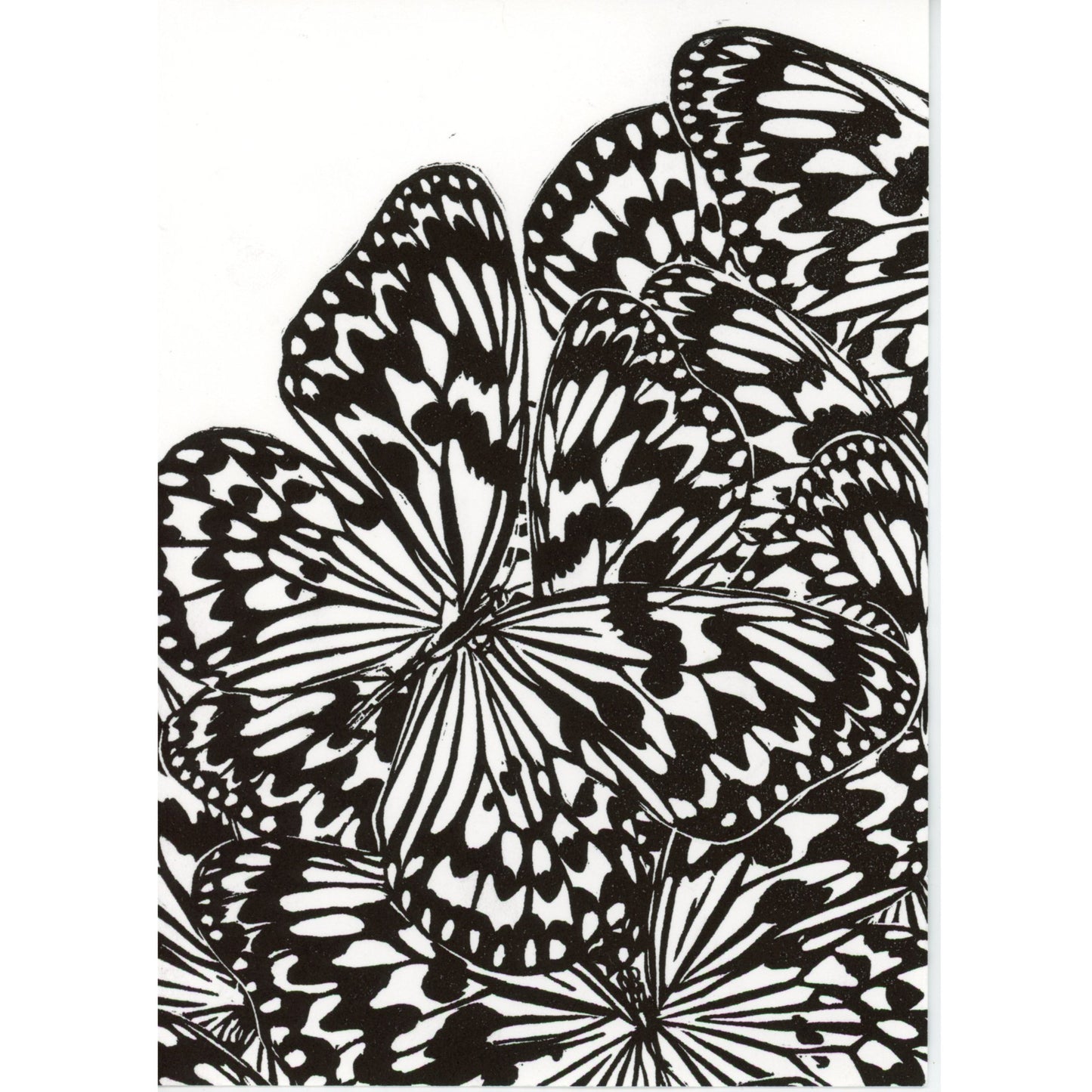 PX027 — Lauren Medford