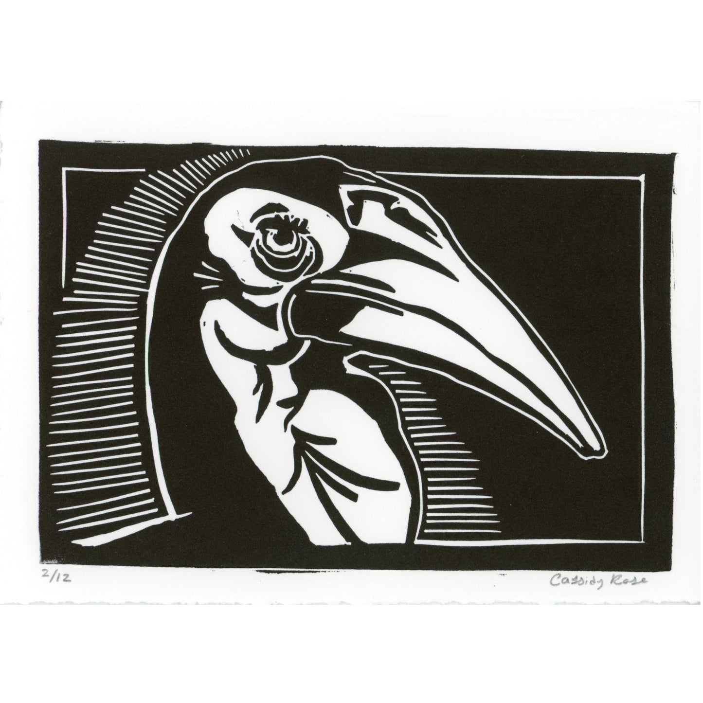 PX028 — Cassidy Rose