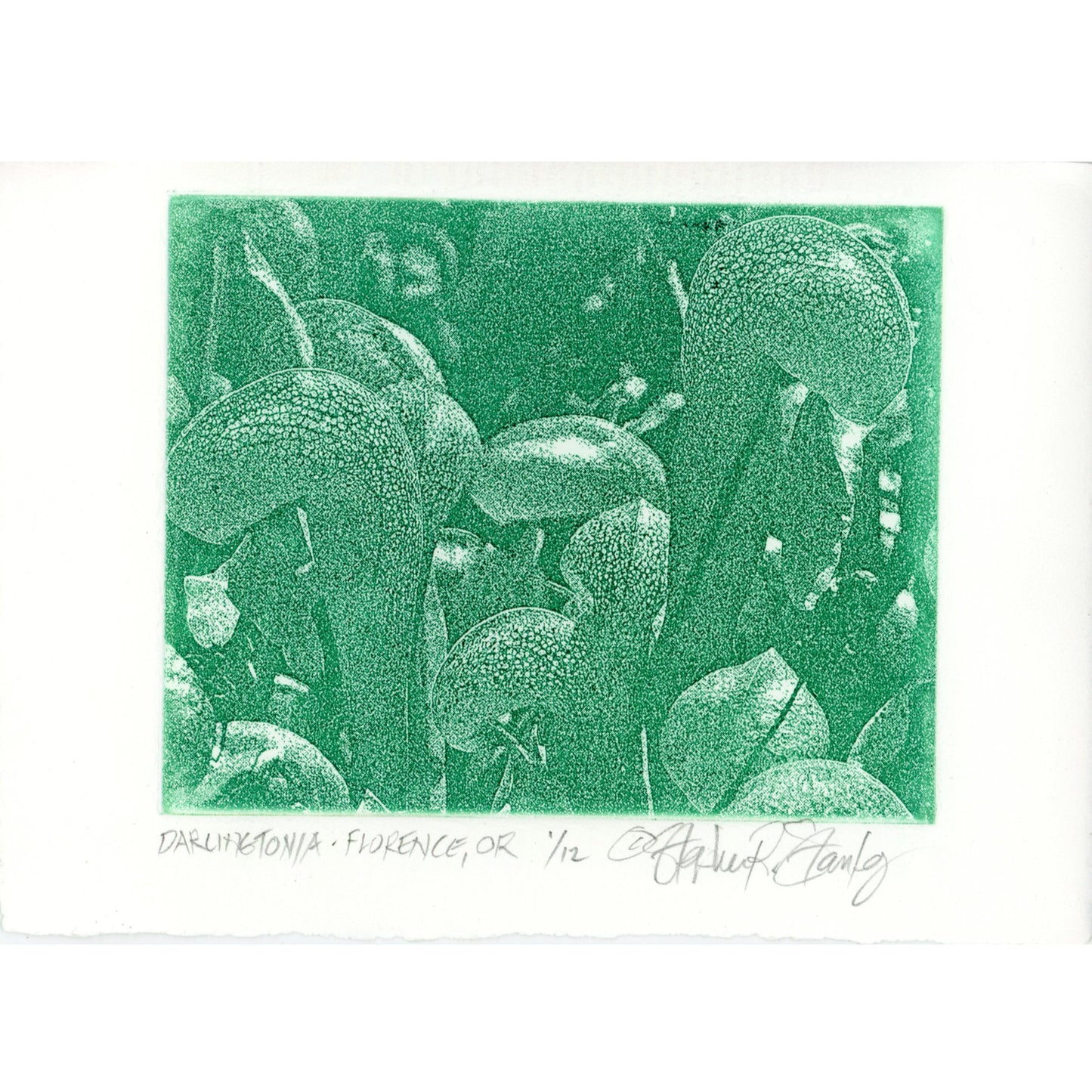 PX034 — Stephen Stanley