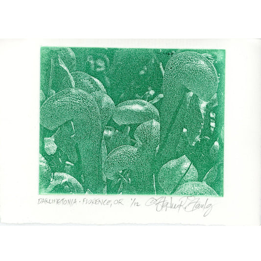 PX034 — Stephen Stanley