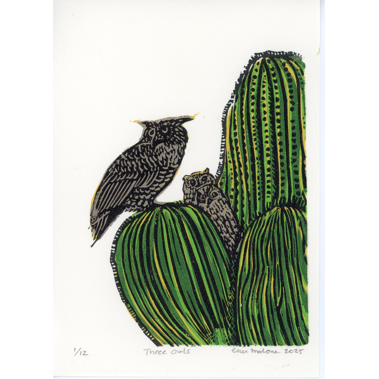 PX037 — Erin Malone