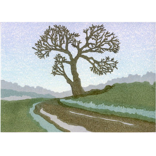 PX041 — Jill Kramer