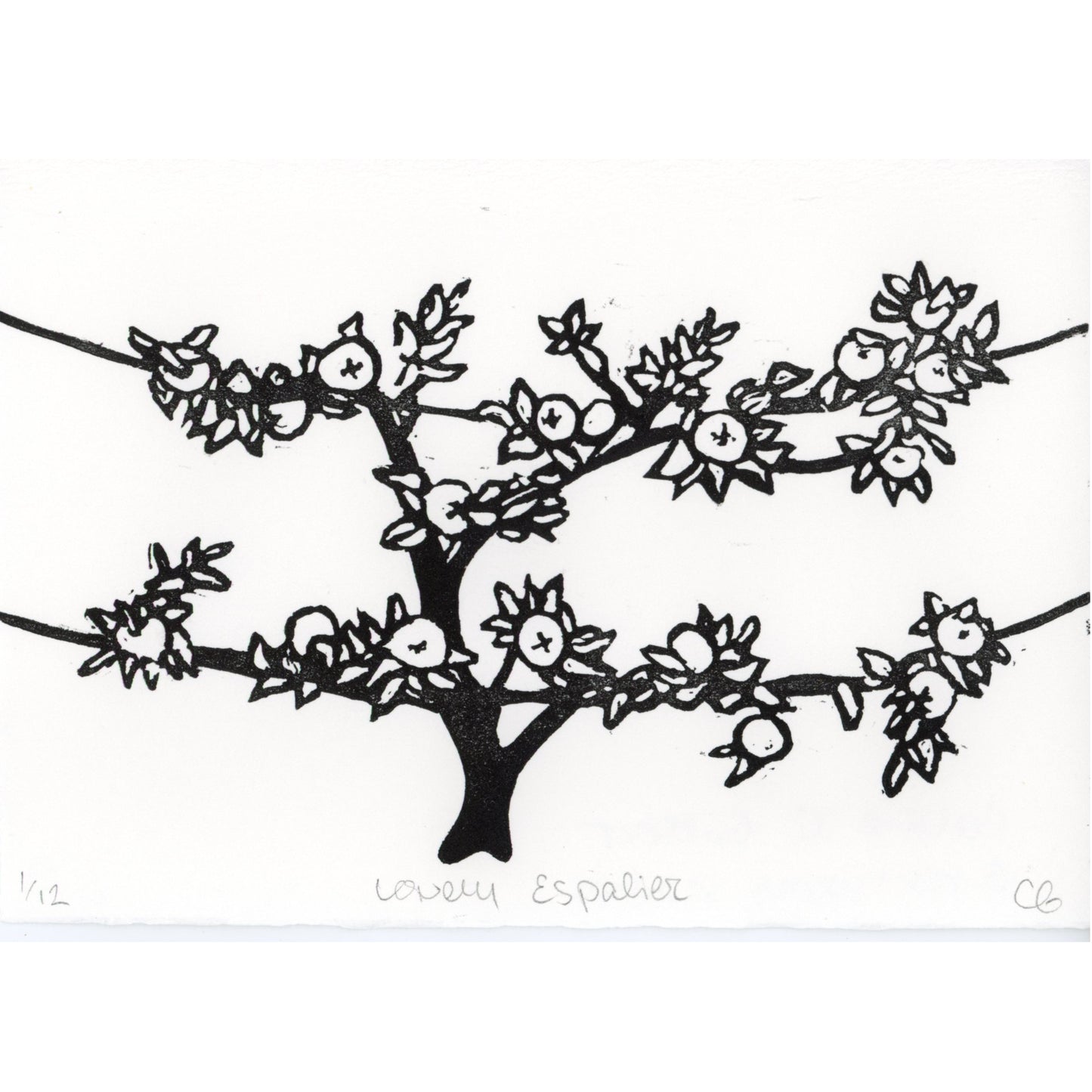 PX051 — Carrie C. Gilbert