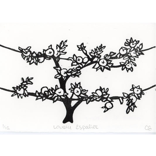 PX051 — Carrie C. Gilbert