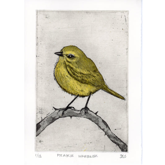 PX053 — Deborah Stock