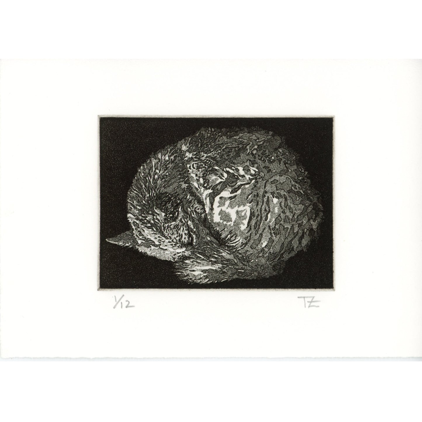 PX057 — Teresa Zepeda