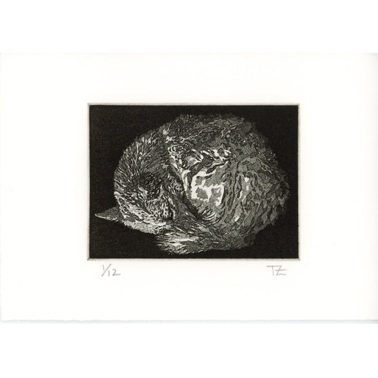 PX057 — Teresa Zepeda