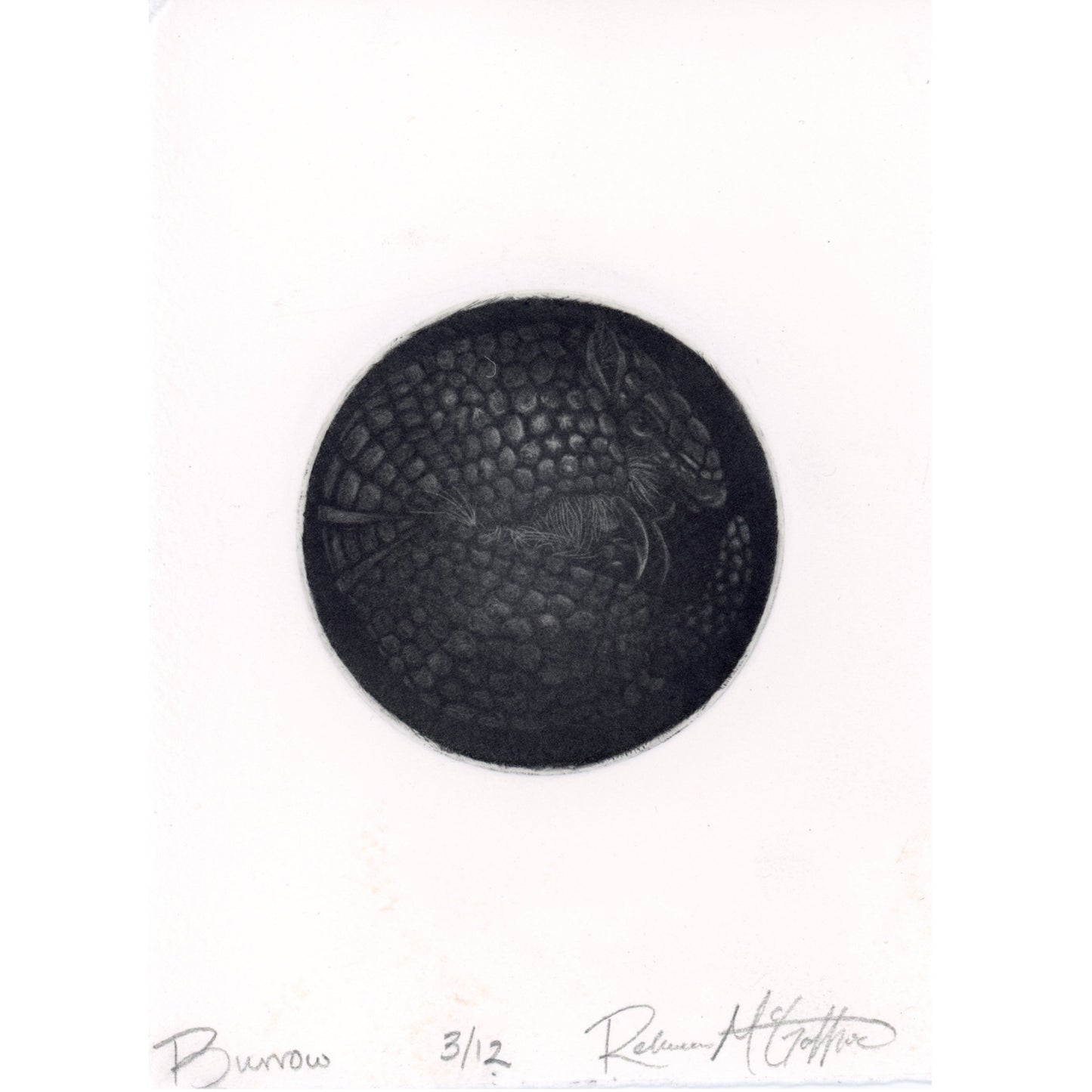 PX065 — Rebecca McGaffick