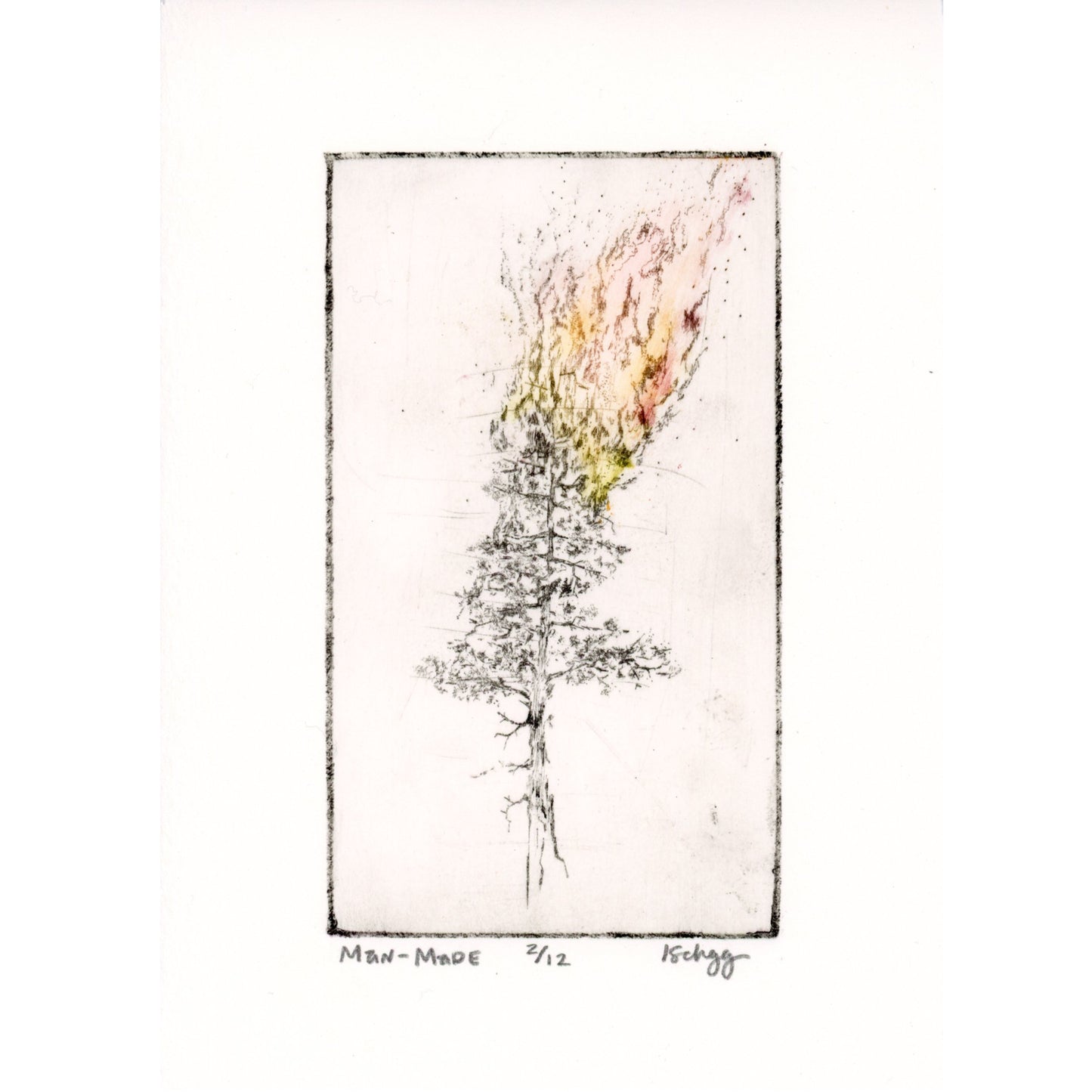 PX072 — Kylee Schadegg