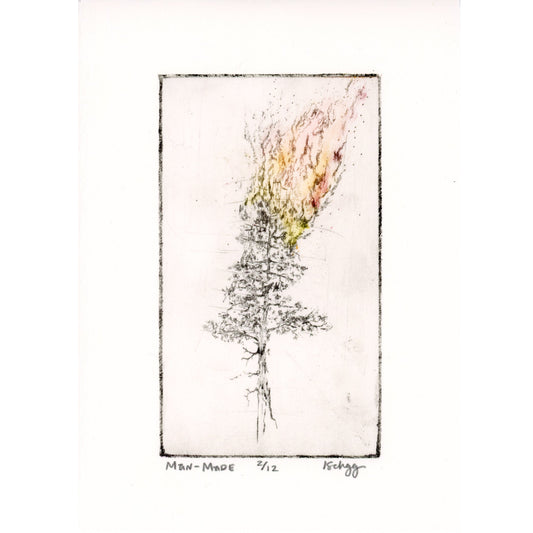 PX072 — Kylee Schadegg