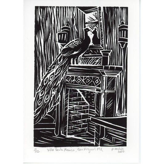 PX091 — Pam Van Dyk