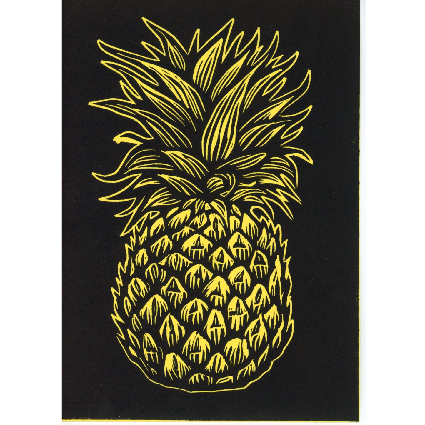 PX122 — Kelly Witte