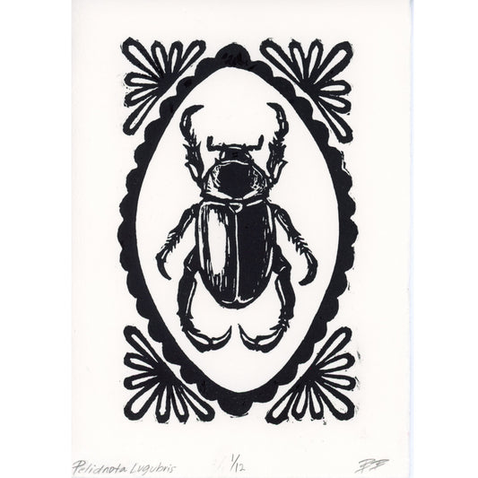 PX124 — Bee Becker