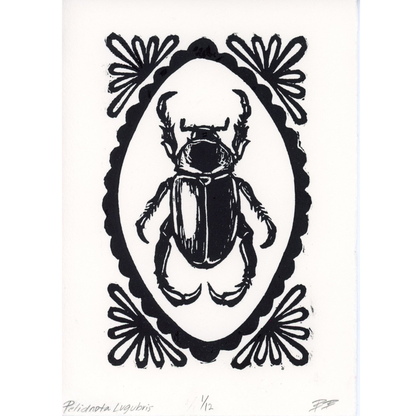 PX124 — Bee Becker