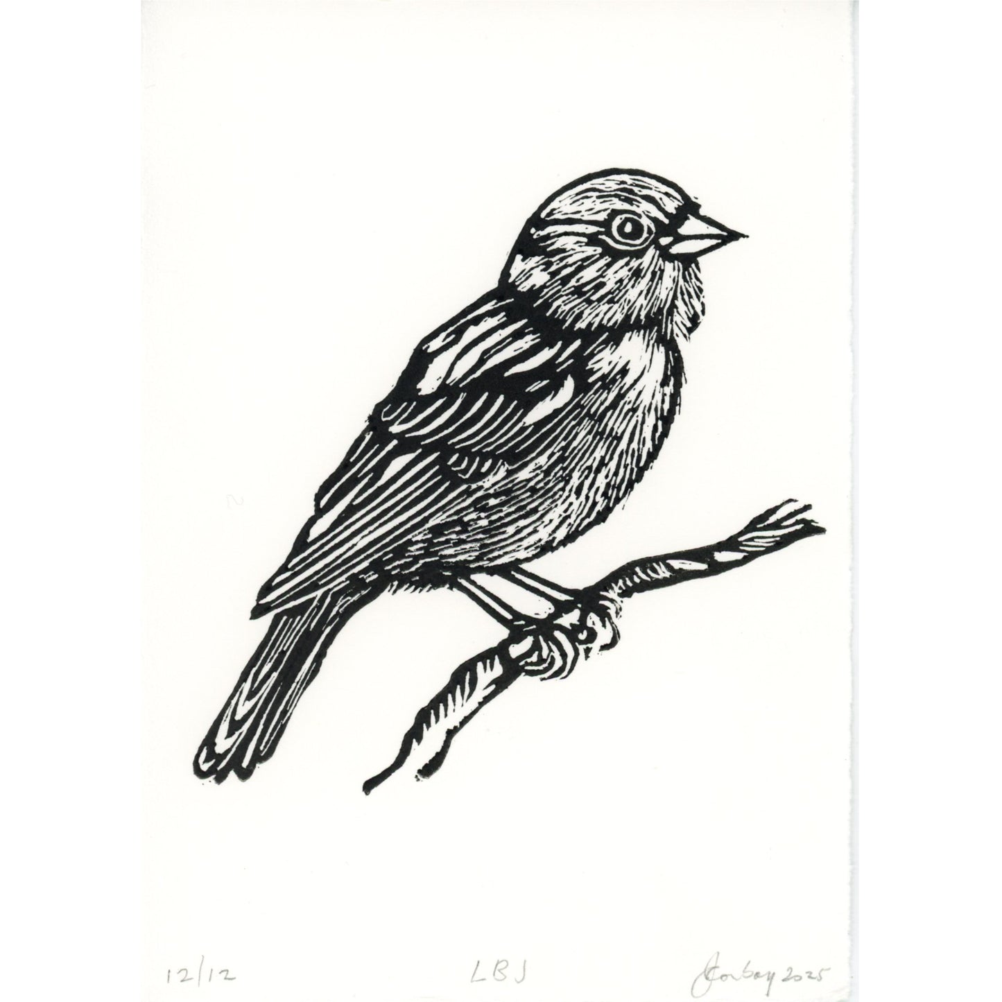 PX140 — Janette Conboy