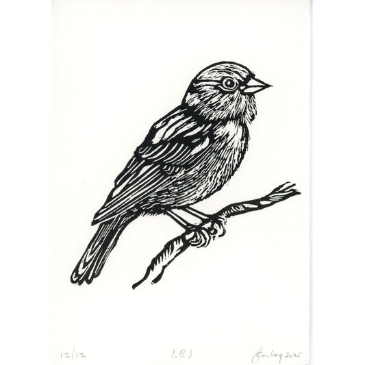 PX140 — Janette Conboy