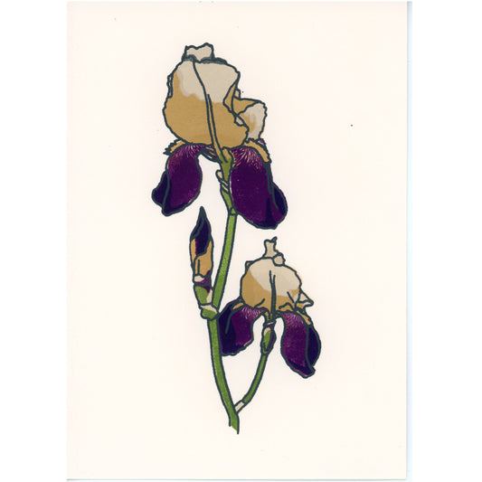 PX144 — Alison Maddux