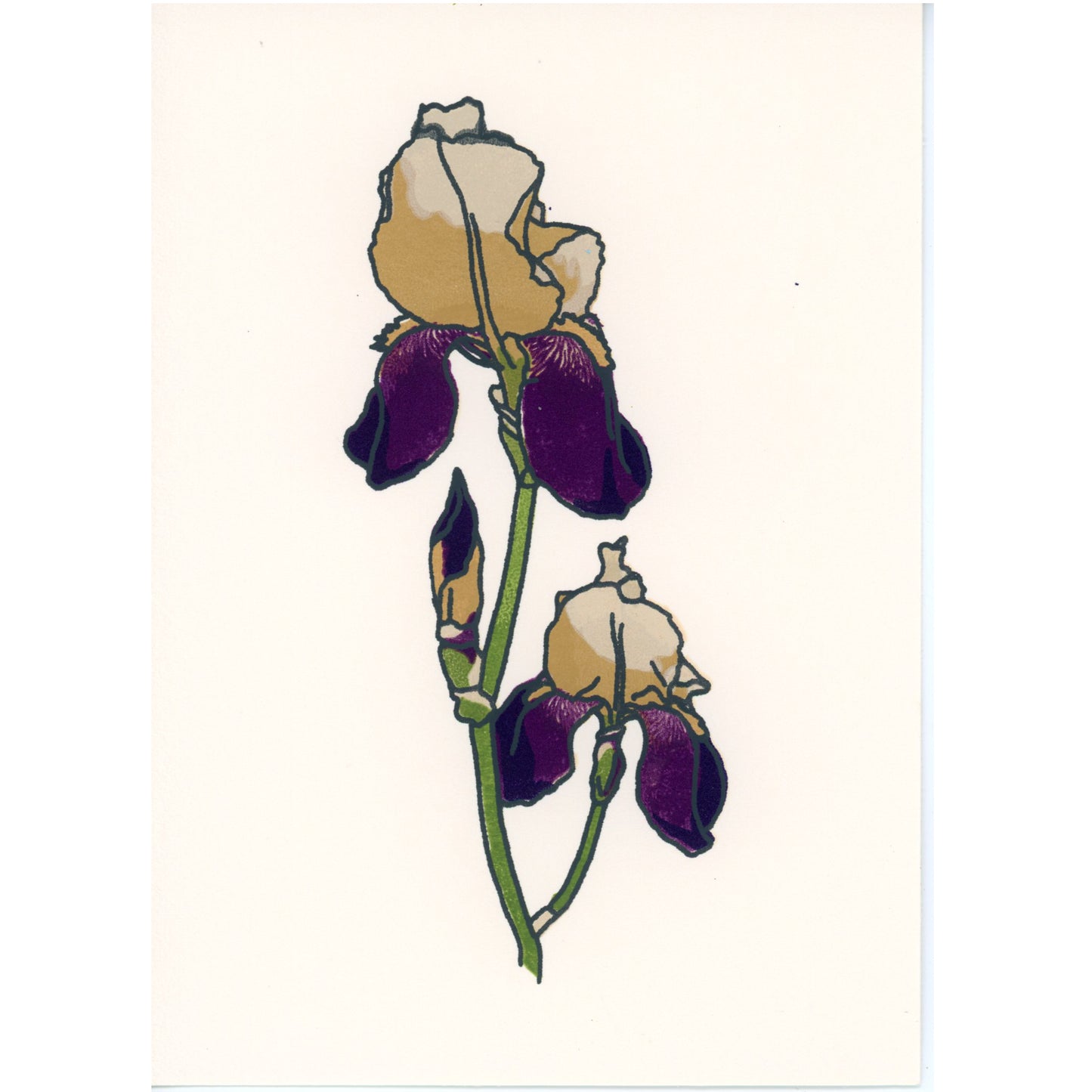 PX144 — Alison Maddux