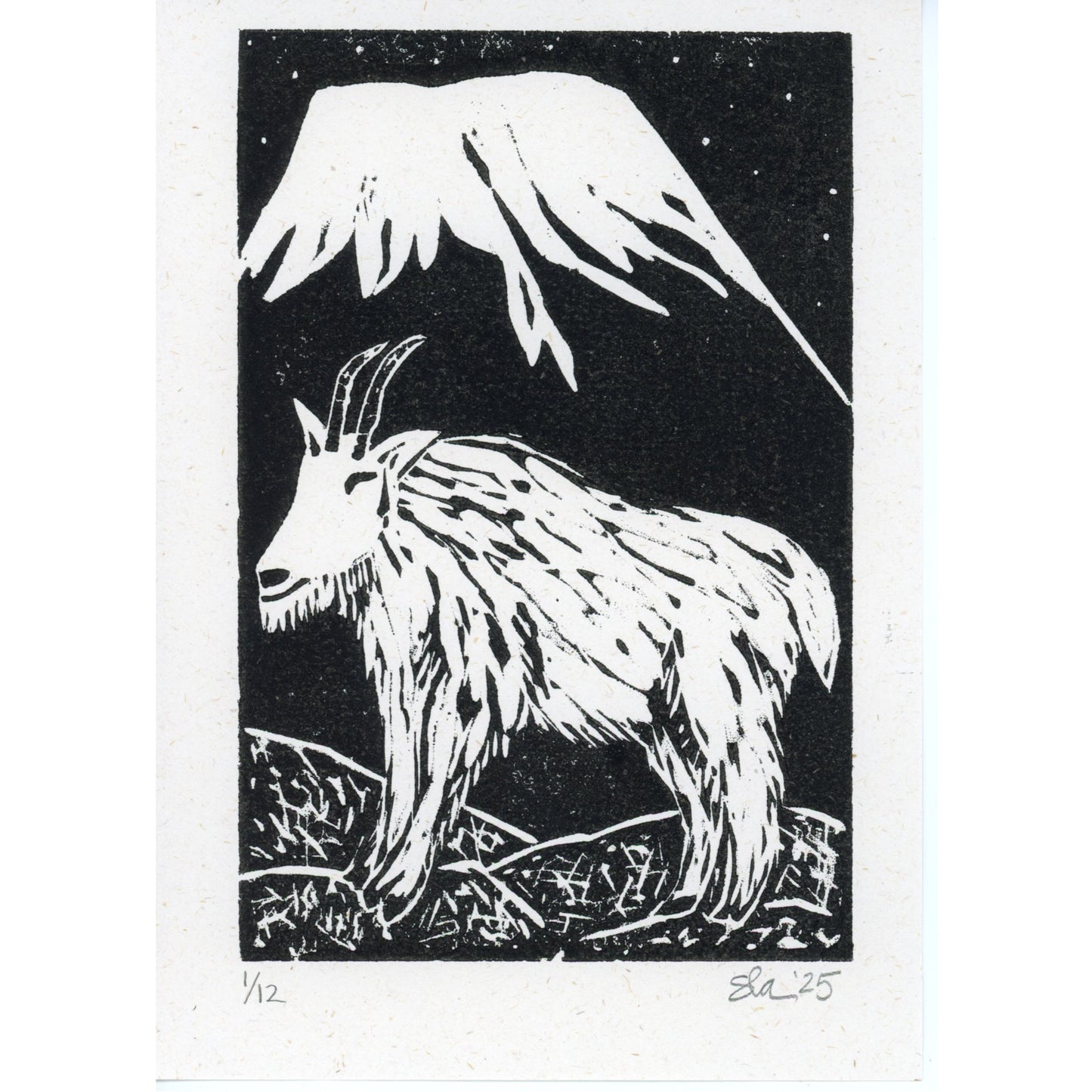 PX150 — Stacy Allen