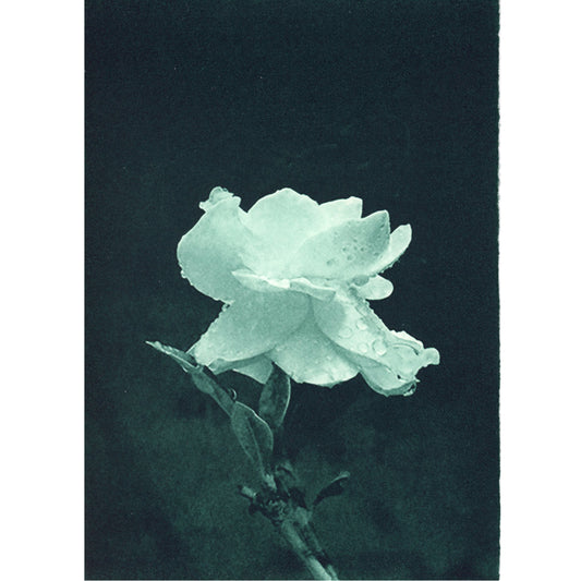 PX156 — Jane Skepper