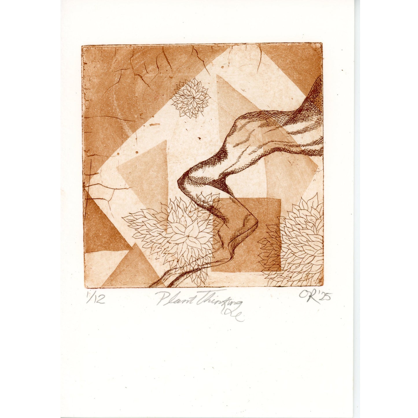 PX160 — Olive Ritson