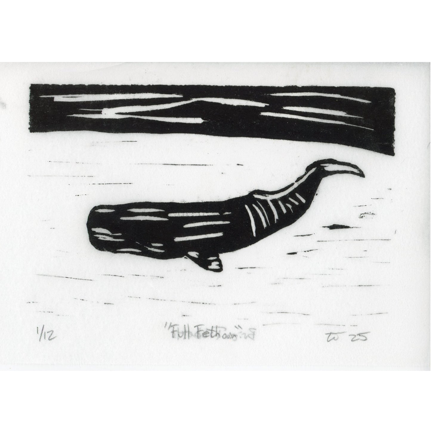 PX163 — Brian Tibbetts