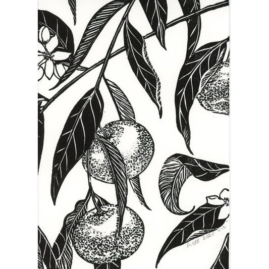 PX175 — Colette A. Lee Schuchardt