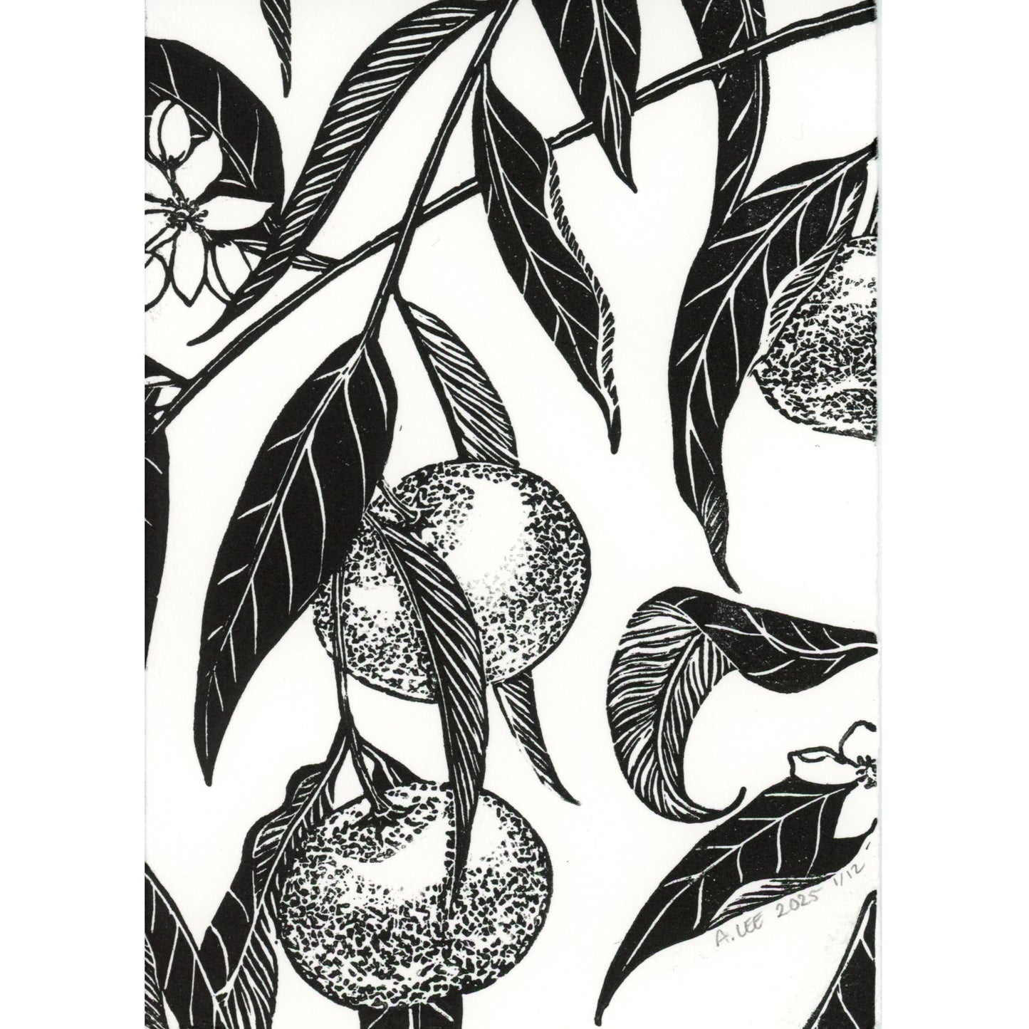 PX175 — Colette A. Lee Schuchardt