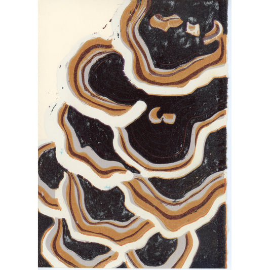 PX182 — Sophia Salcido