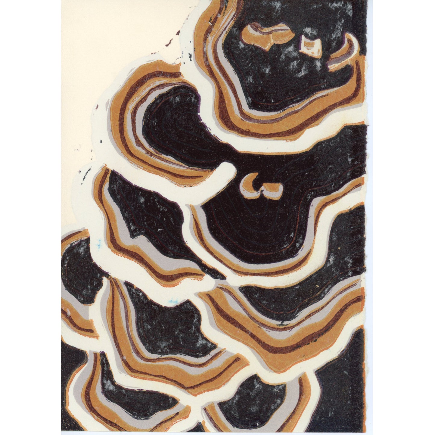 PX182 — Sophia Salcido