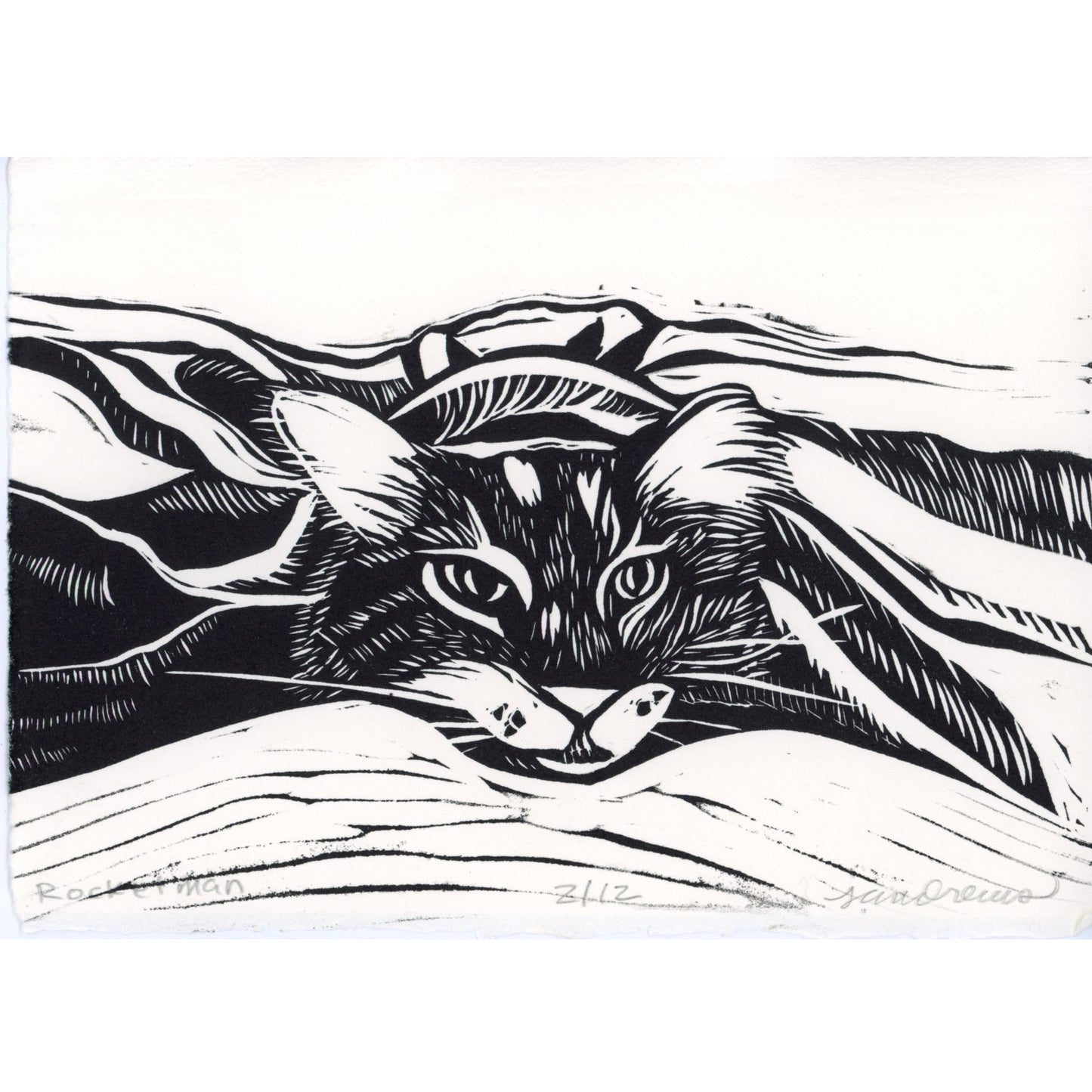 PX188 — Jennifer Andrews