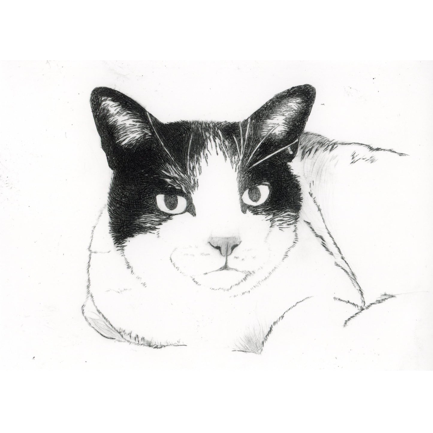 PX196 — Zoe Renfro